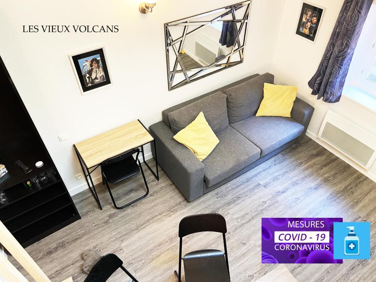 Apartmán Vivez Sur Un Volcan, Vivez Clermont Ferrand Exteriér fotografie